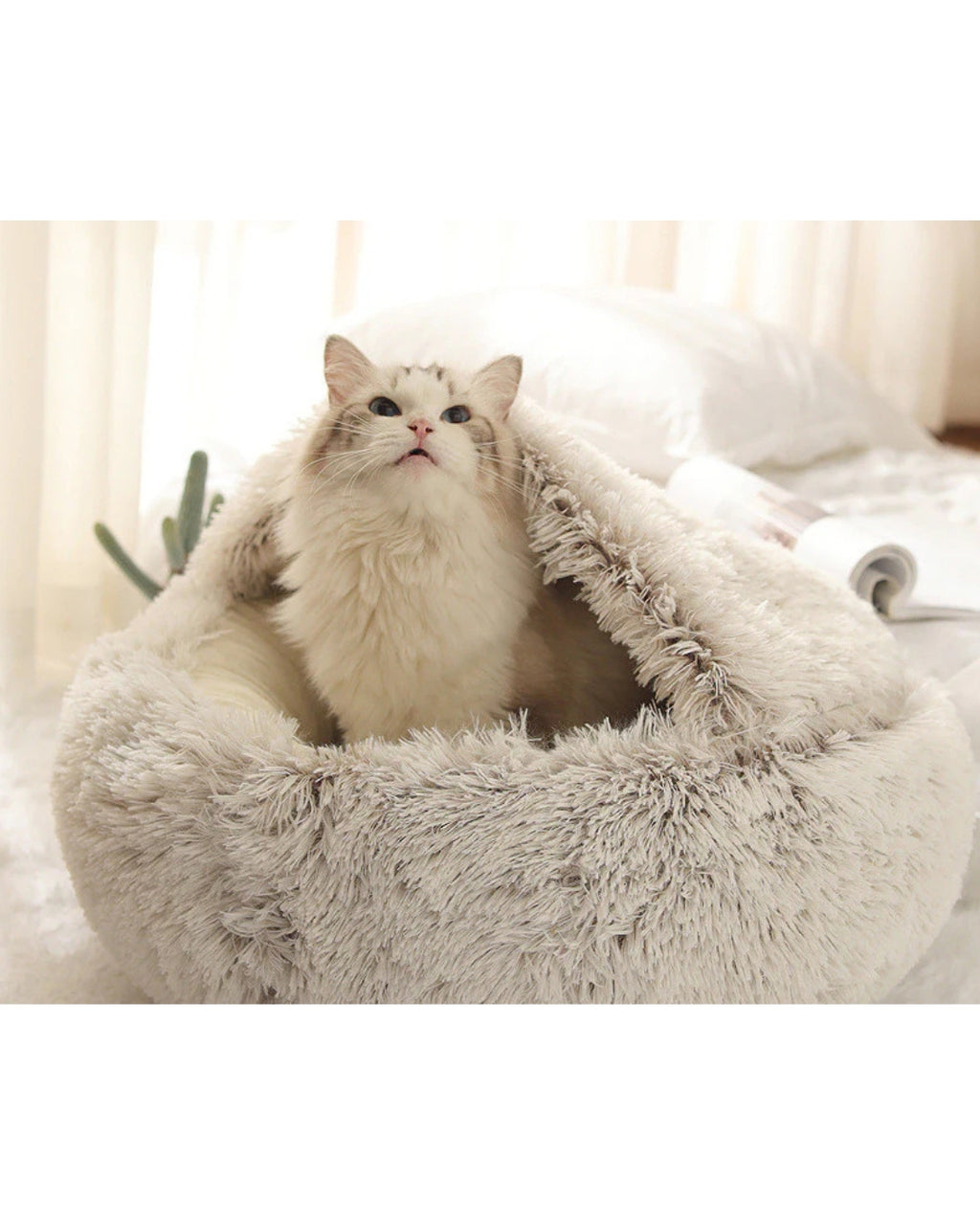 Luxury Plush Pet Bed for Dogs & Cats
